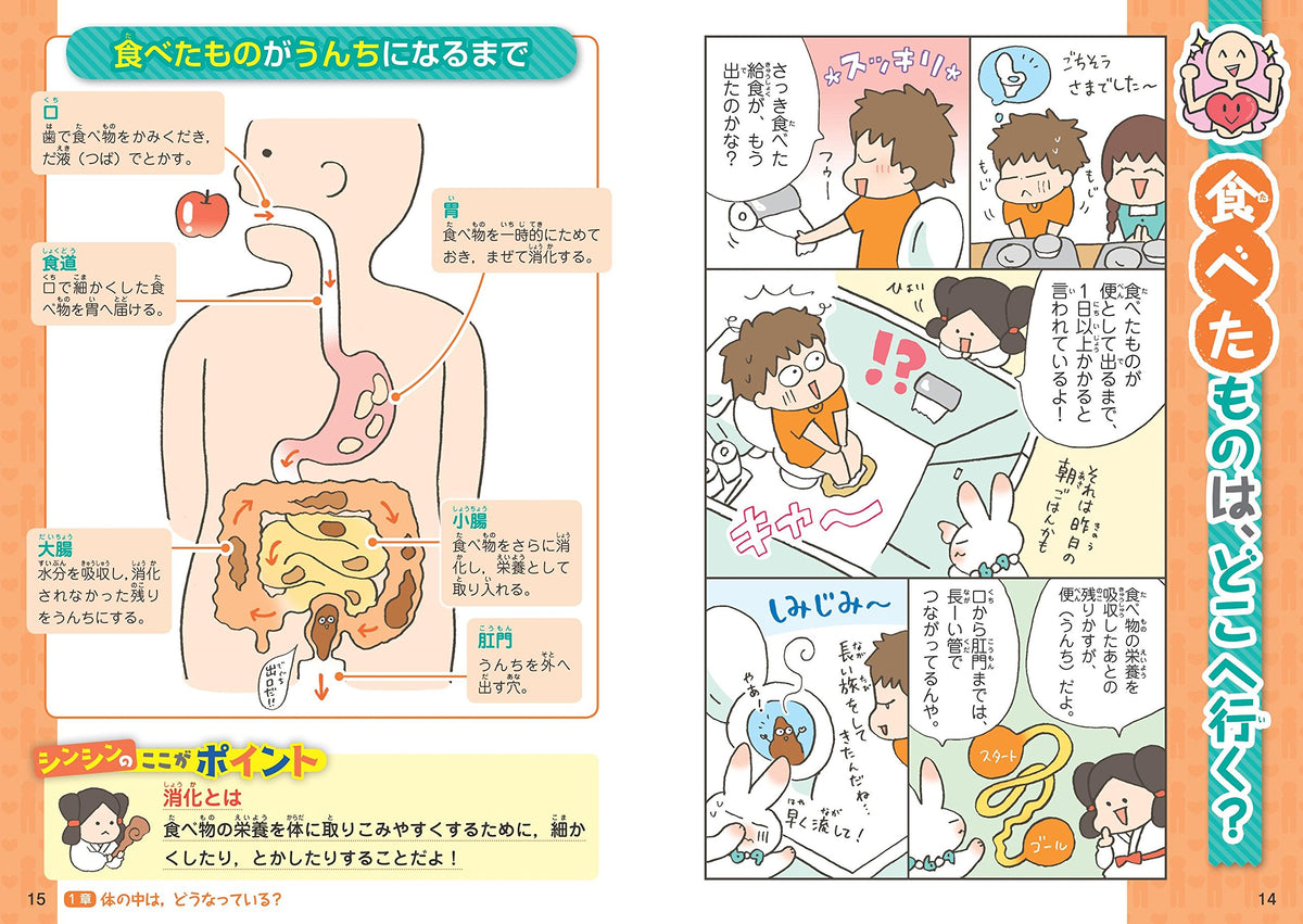 学校では教えてくれない大切なこと(18) からだと心 – 旺文社 学びストア