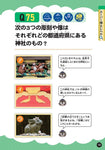 好きからはじめて都道府県博士になる！